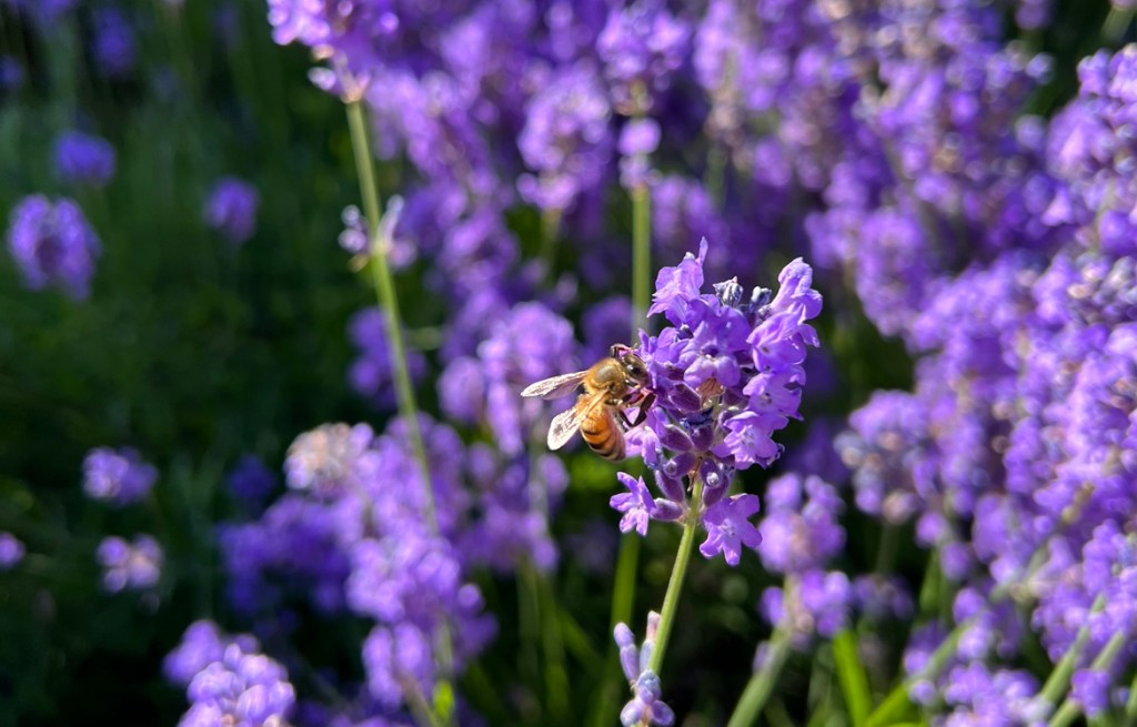 (Re)Starting right here.